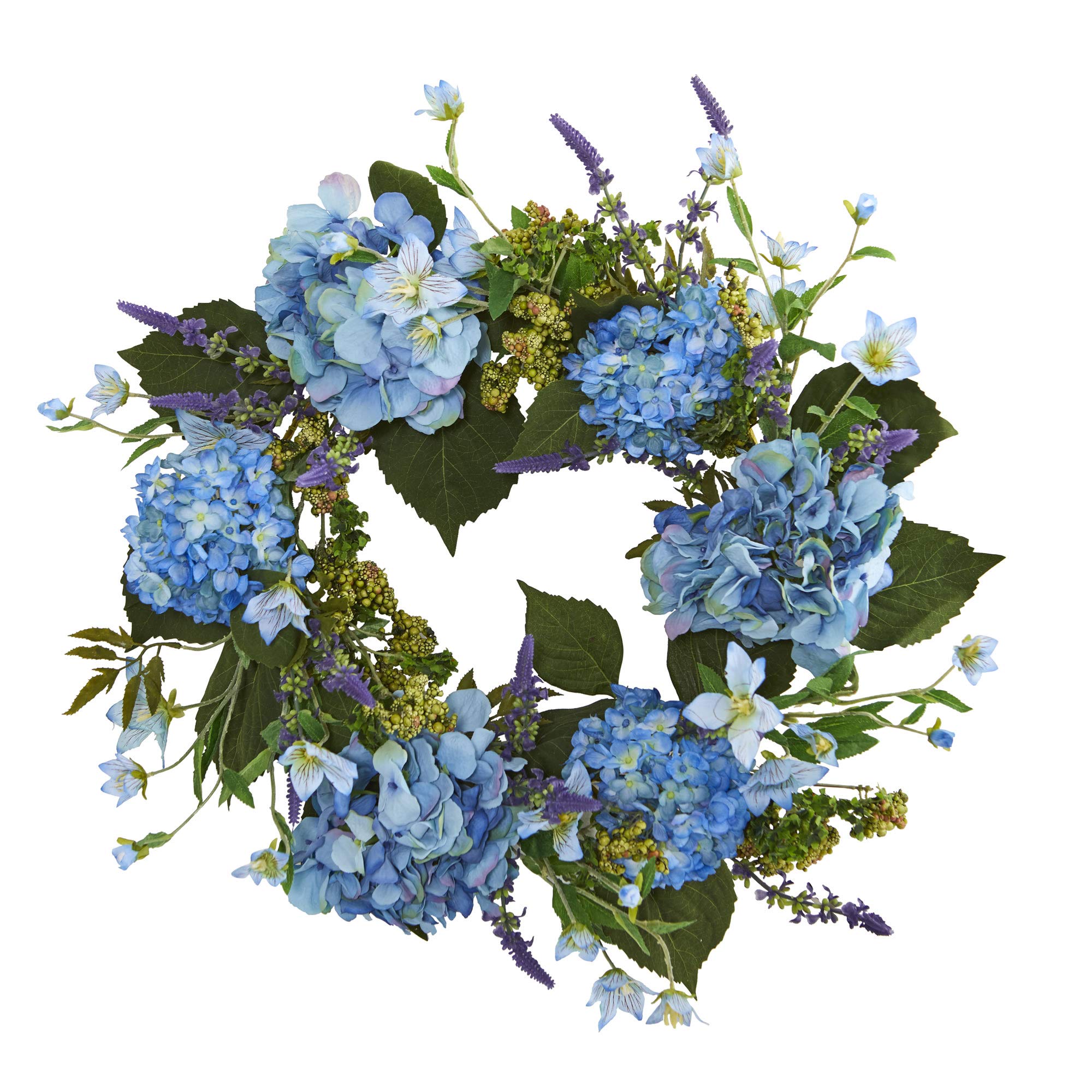 Hydrangea4936　0705 11b9a2ac-bc23-4e08-b9ad-